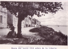 1910 arbre de la liberte