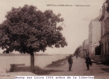 1916 arbre de la libertee